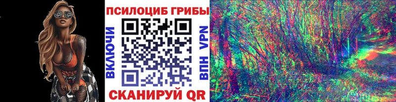 Купить  Лакинск  Псилоцибиновые грибы MAGIC MUSHROOMS 